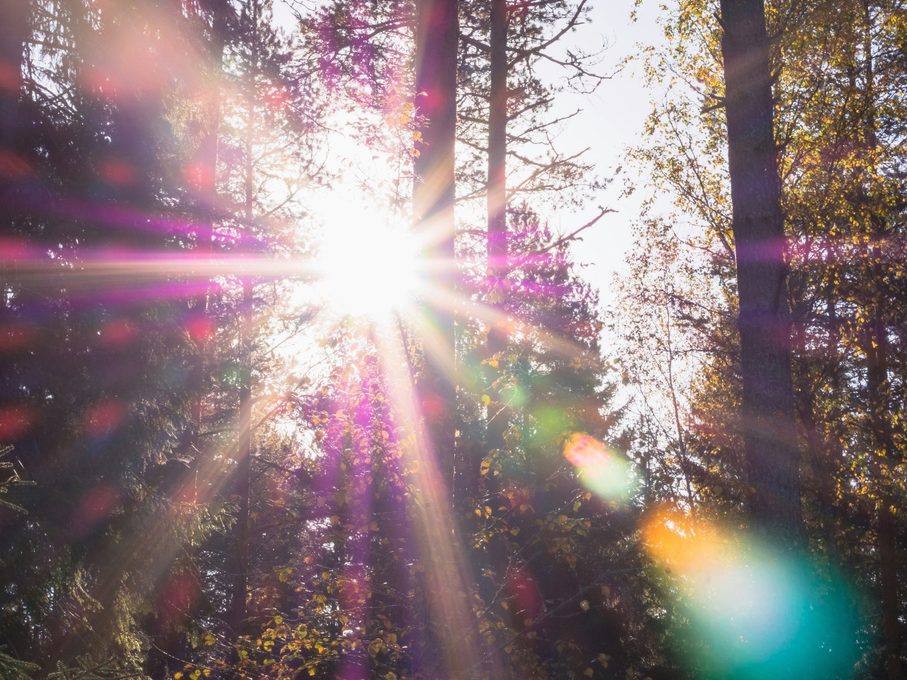 Your Daily Devotional 5/11/2025: When Your Light Begins to Shine